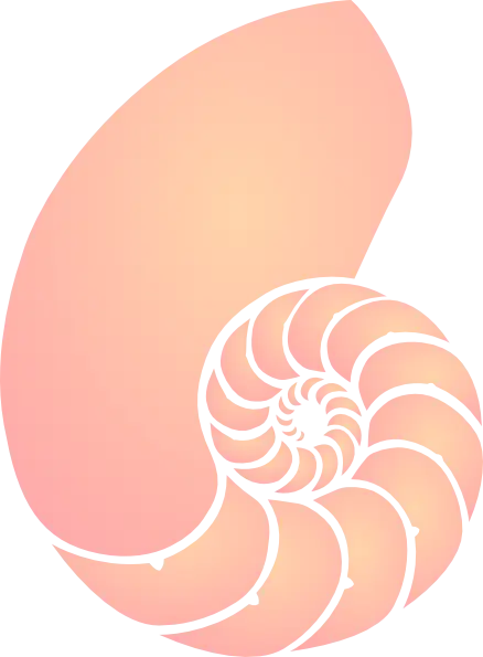 Nautilus Shell Illustration with Soft Colors