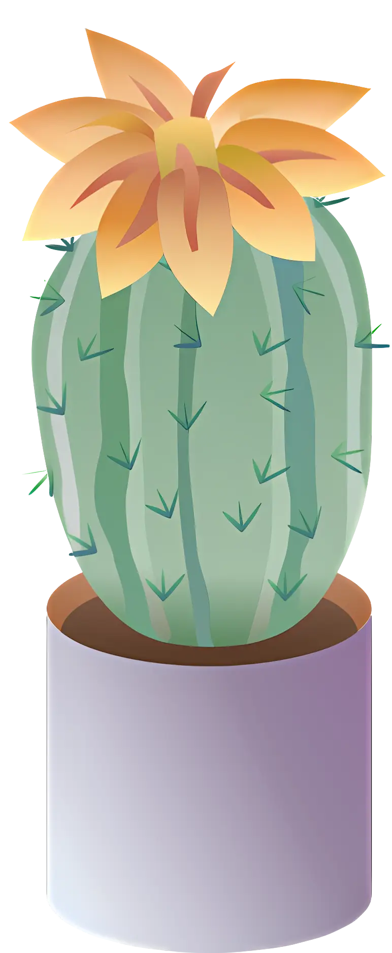 Cactus with Flower in Pot