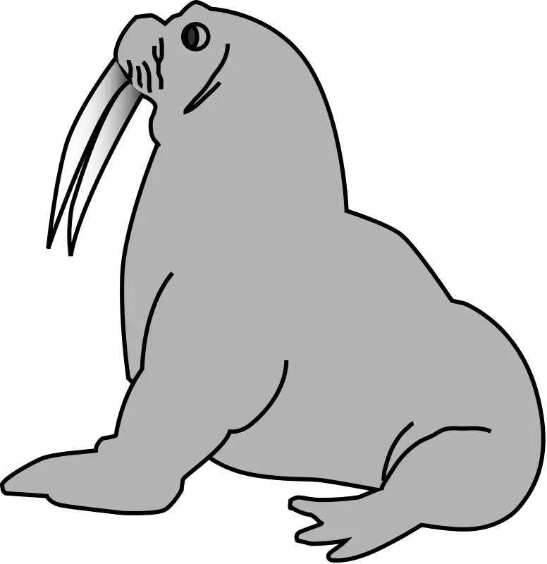 Gray Cartoon Walrus Illustration