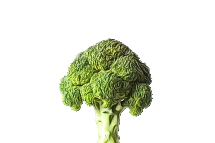 Fresh Green Broccoli
