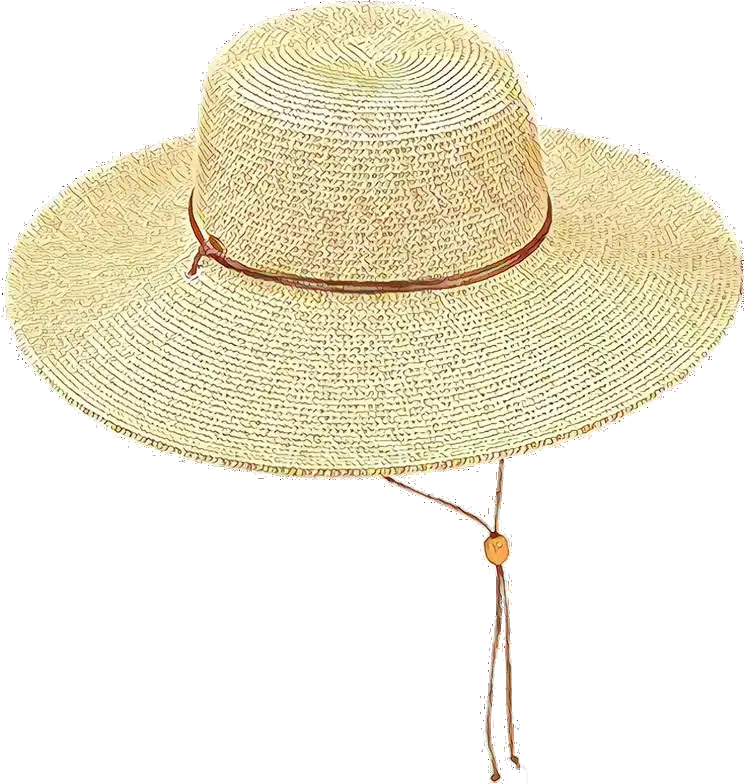 Wide-Brim Straw Sun Hat Illustration