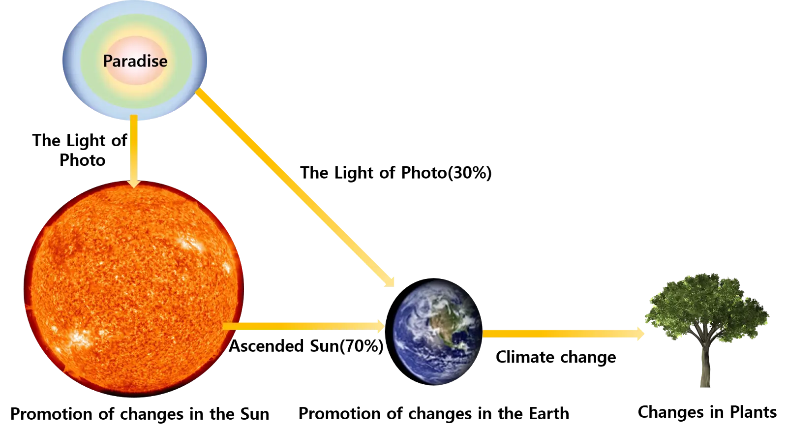 Climate Change Diagram