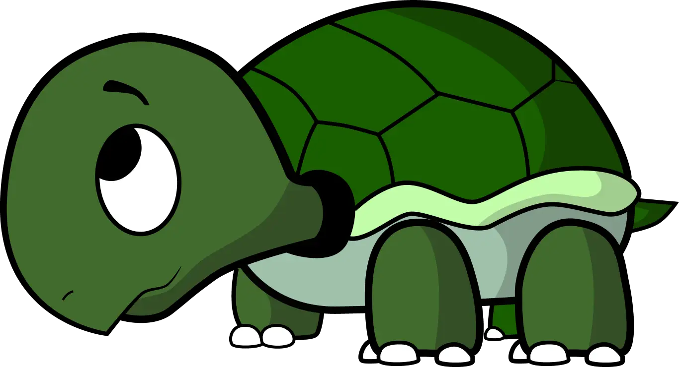 Adorable Green Cartoon Turtle Image