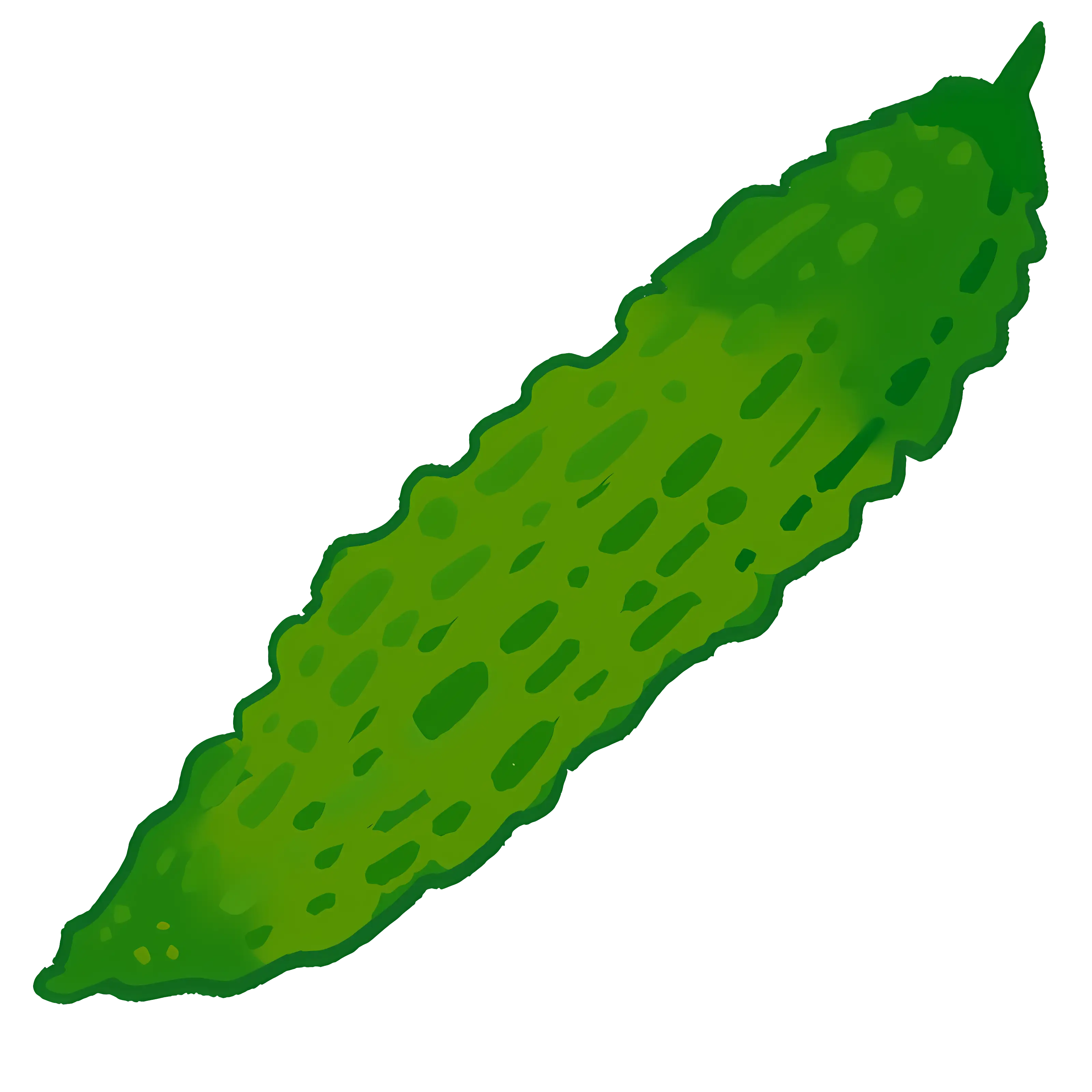 Green Bitter Melon Vegetable Illustration