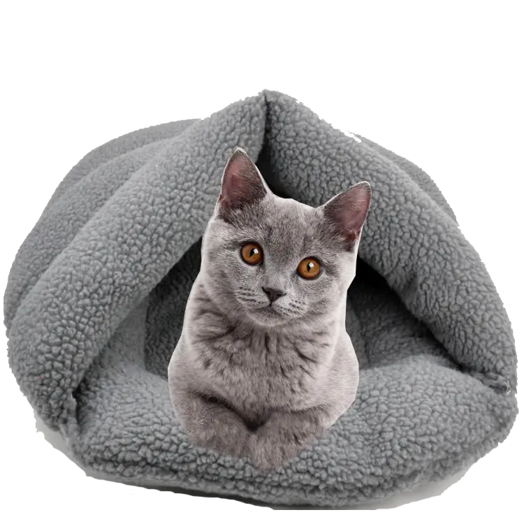 Gray Cat Relaxing in a Cozy Bed