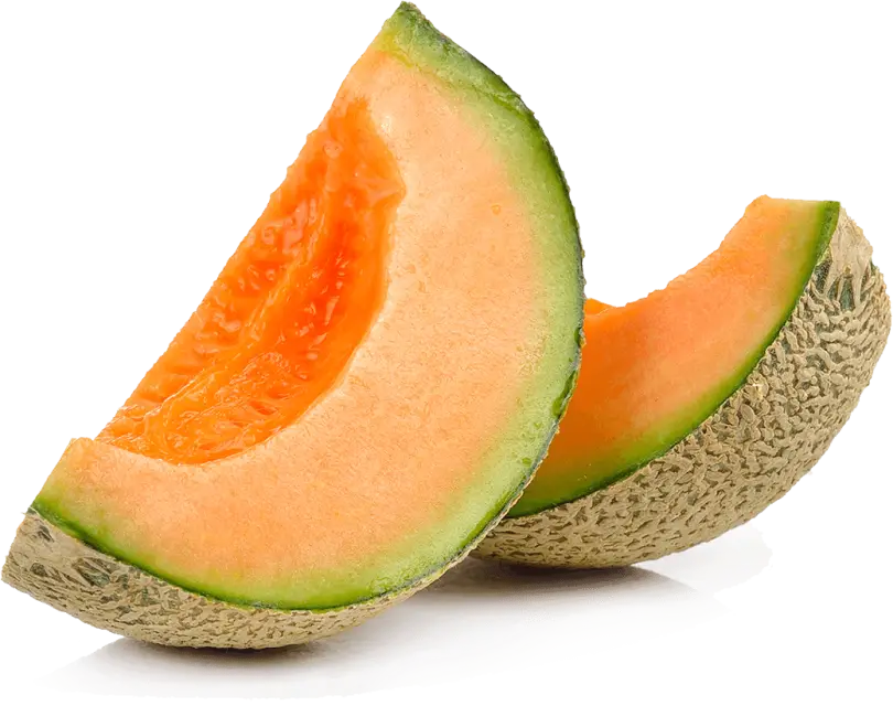 Fresh Slices of Melon
