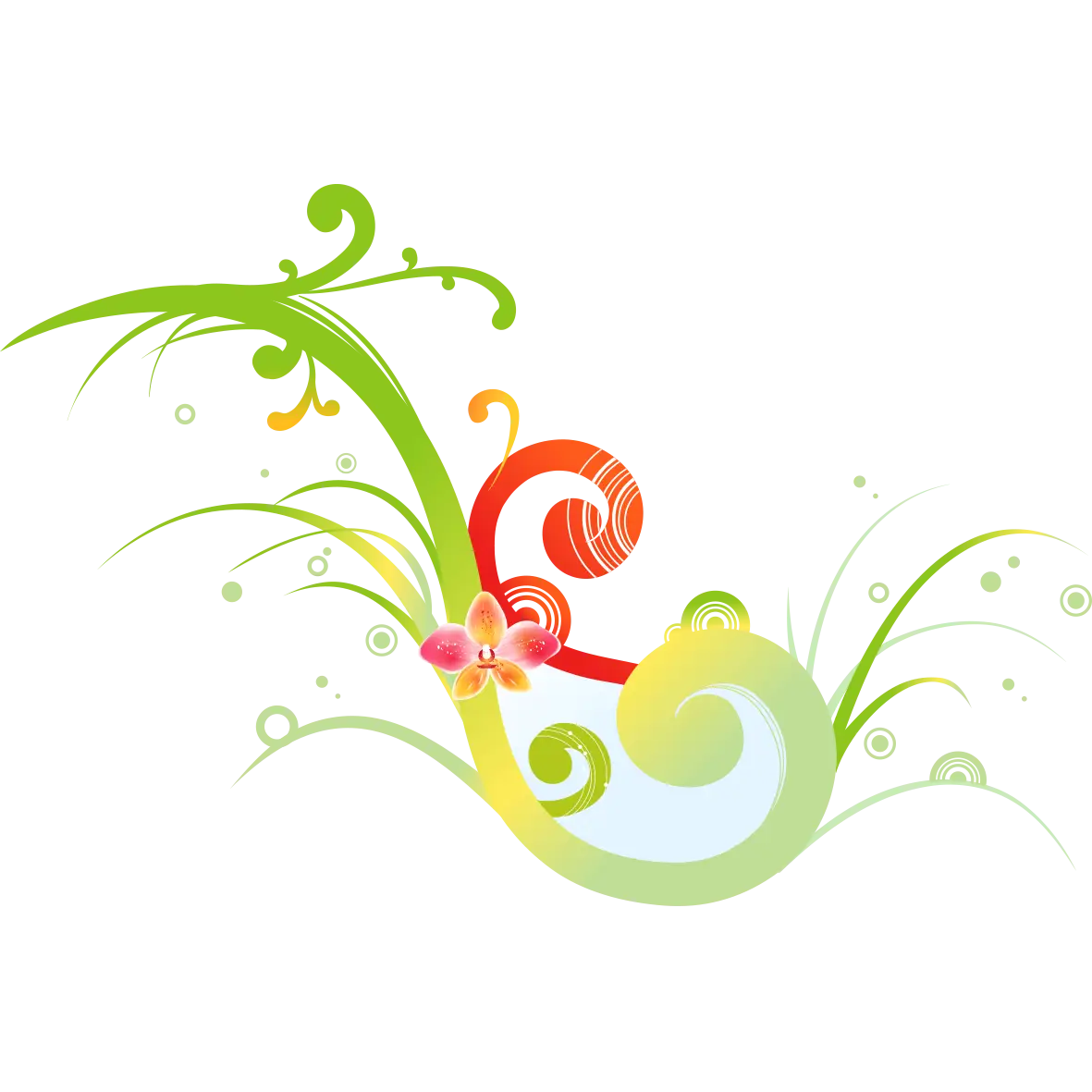Floral Swirl Decorative Design