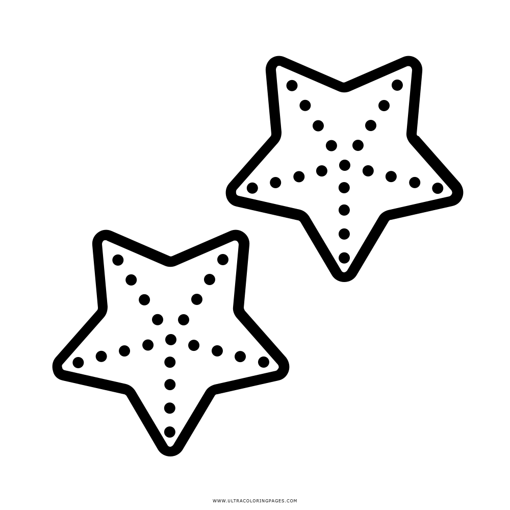Starfish Illustration