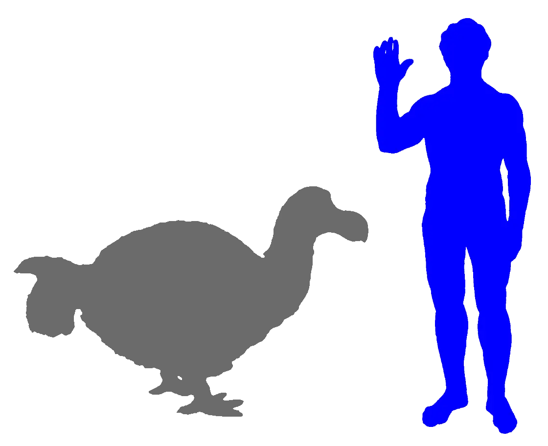 Dodo and Human Size Comparison