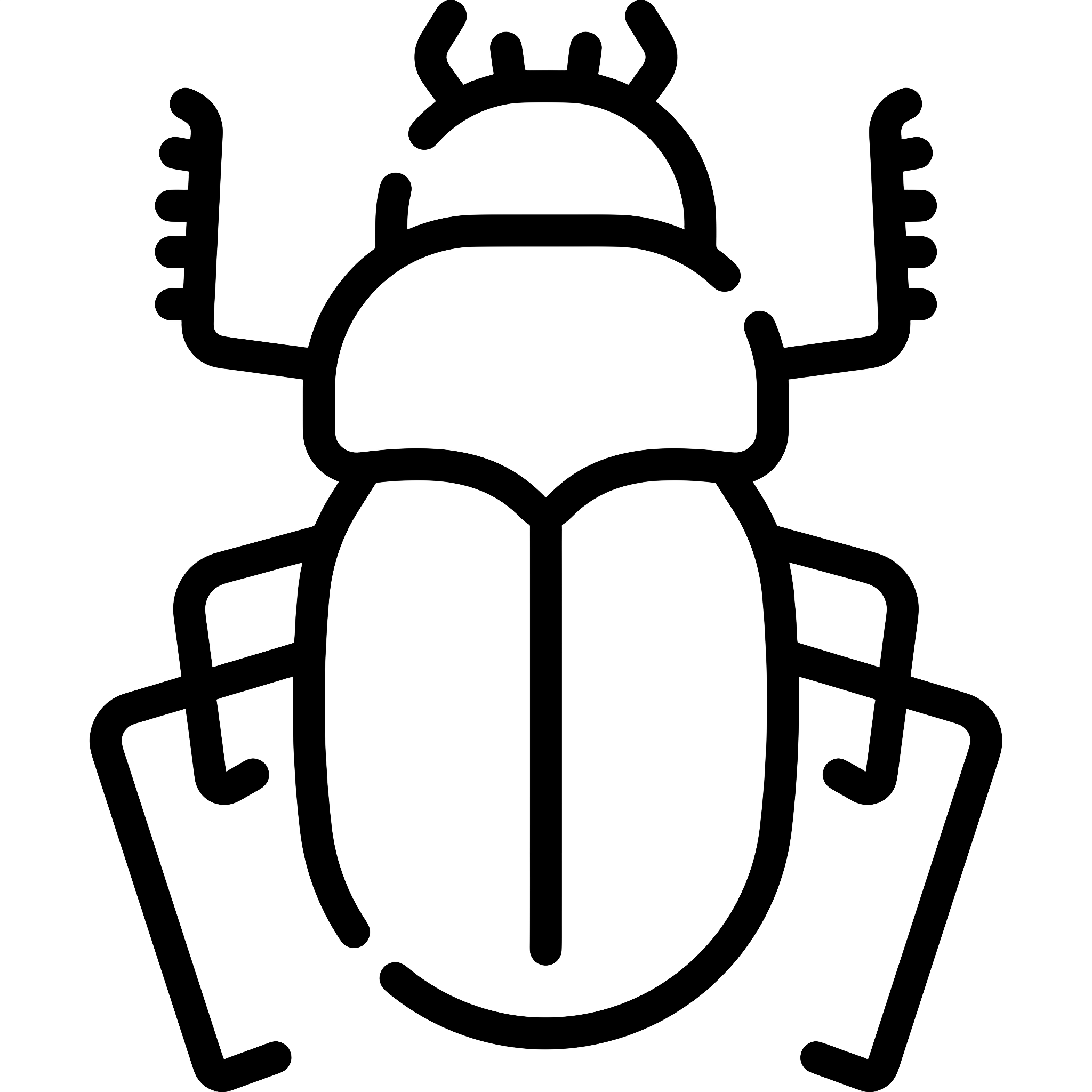 Beetle Outline Drawing