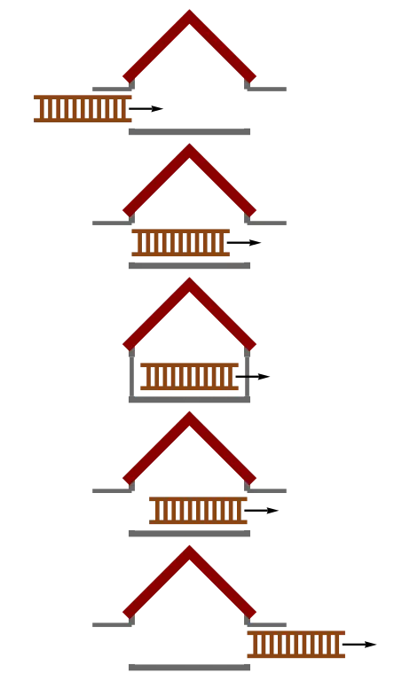 Illustration of Roof Truss Design Sequence