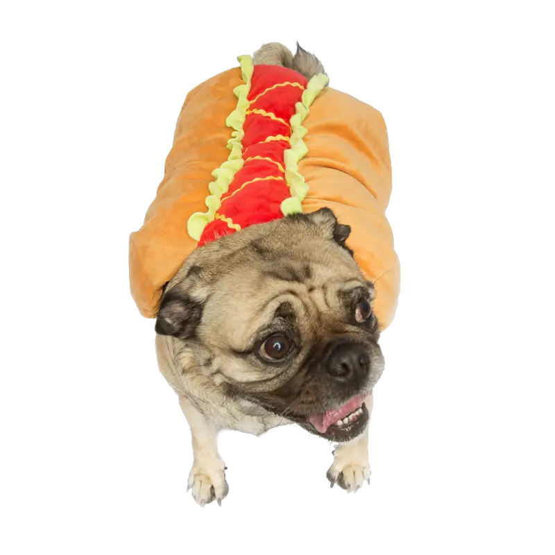 Dog in Hot Dog Costume