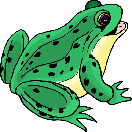 Green Frog Cartoon Drawing