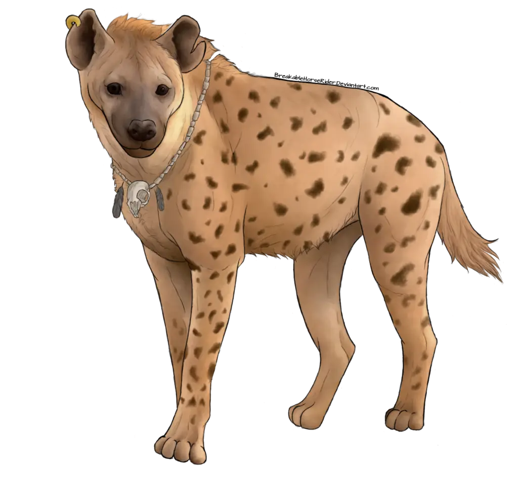 Spotted Cartoon Hyena Illustration