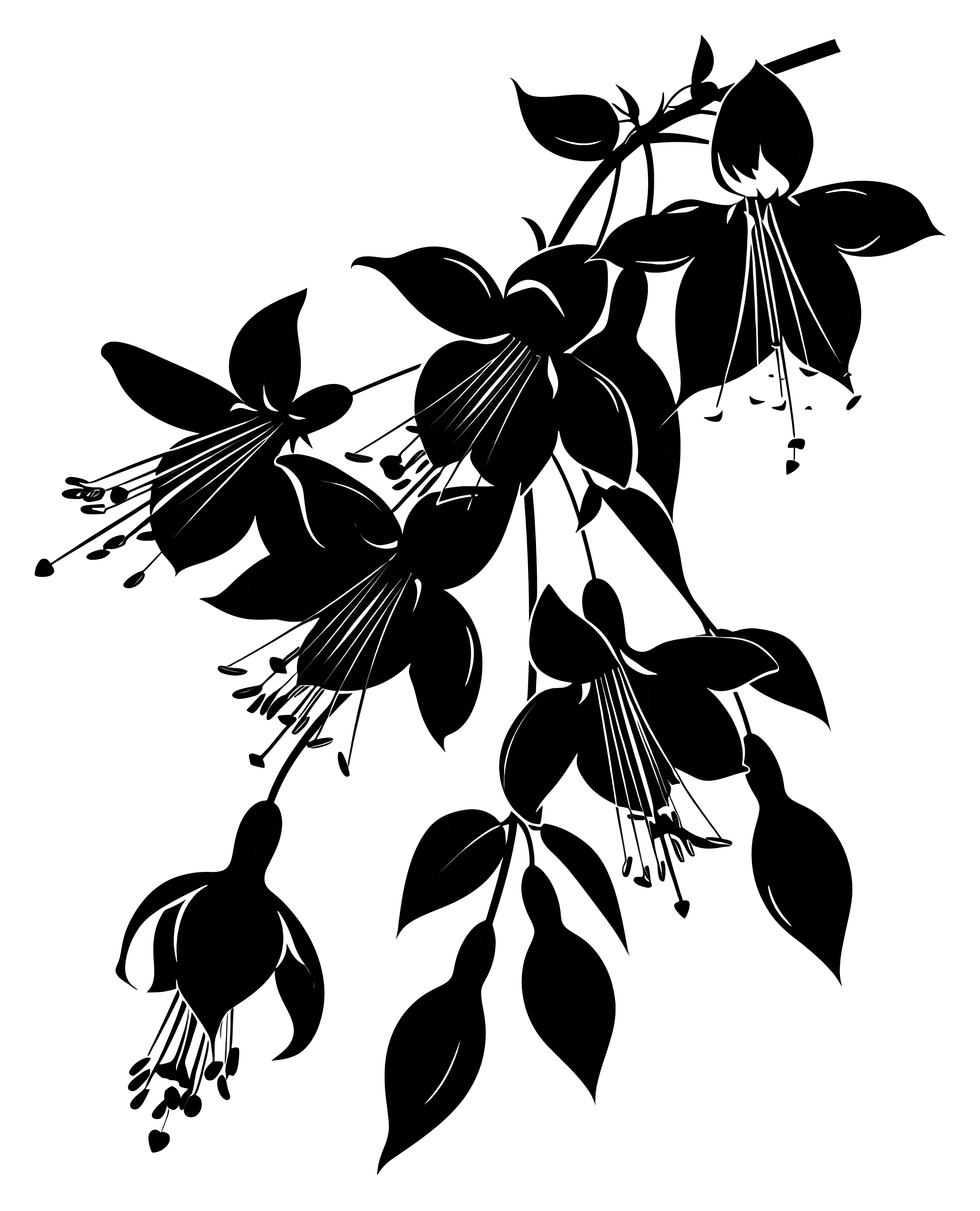 Black Silhouette of Flowers