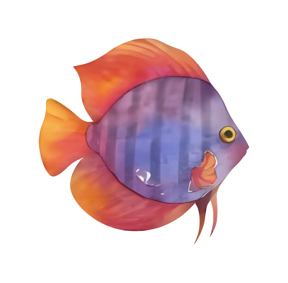 Colorful Fish Illustration
