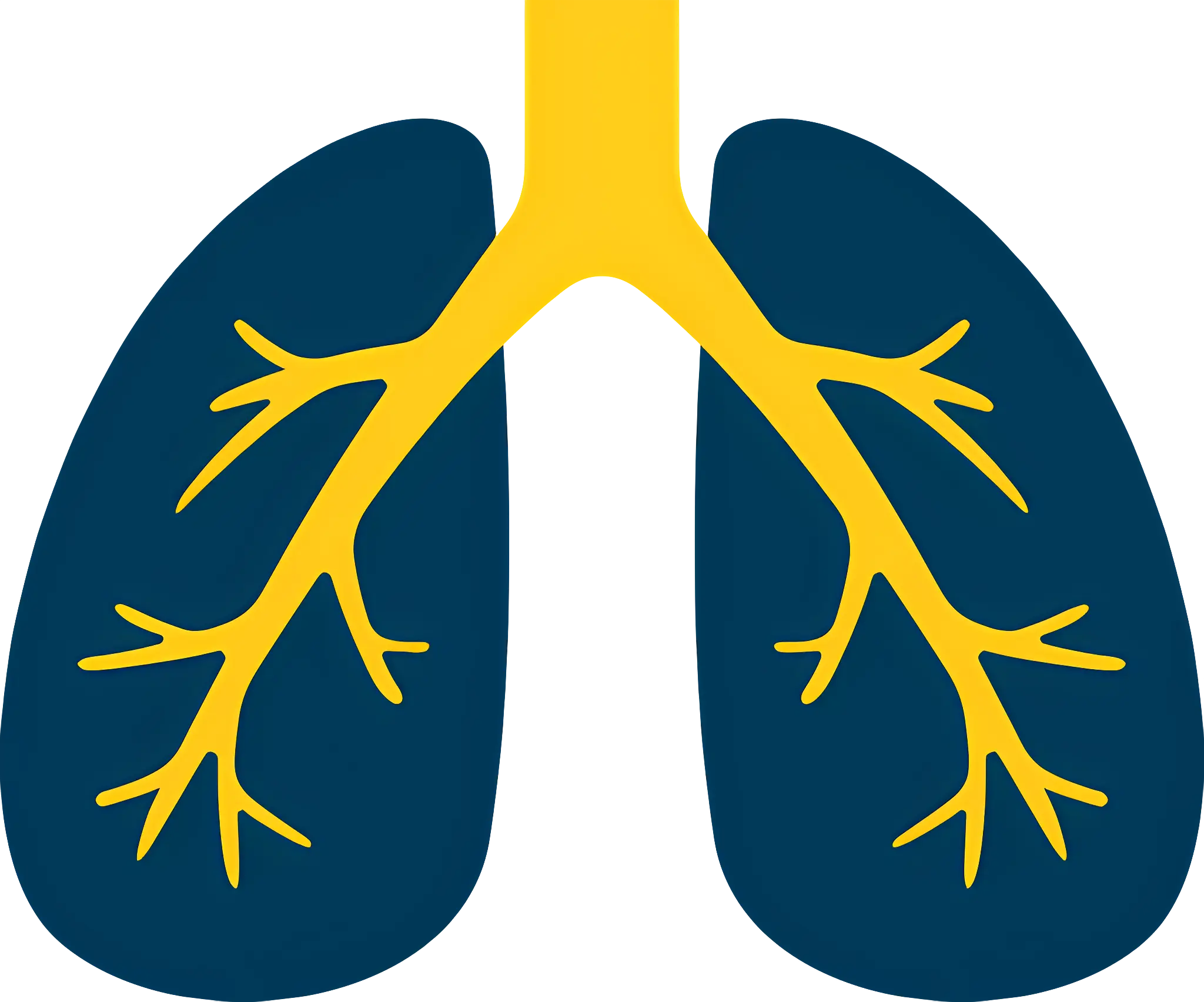 Yellow and Navy Lung Anatomy Illustration