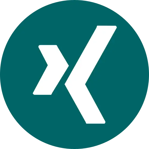 Xing Corporate Logo Representation