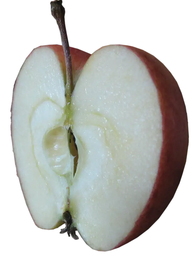 Close-Up of an Apple Slice Showing Seeds