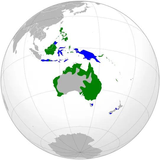 Globe Featuring Oceania Map