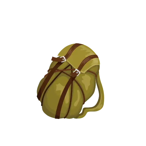 Green Backpack with Straps