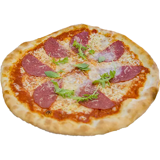 Savory Salami Pizza with Cheese and Herbs