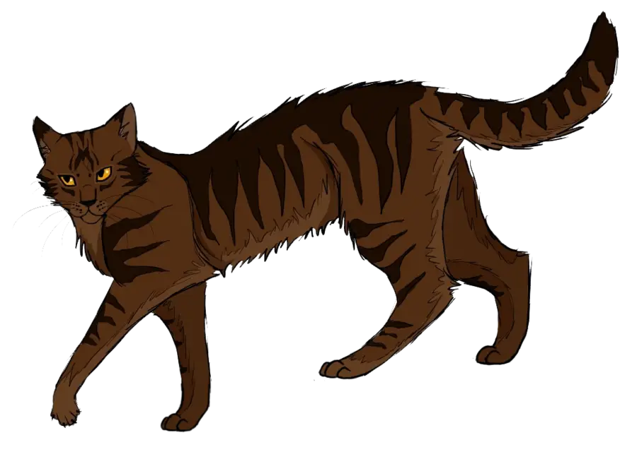 Brown Tabby Cat Walking Gracefully