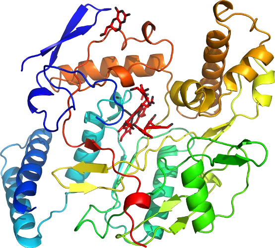 Colorful Protein Structure Visualization