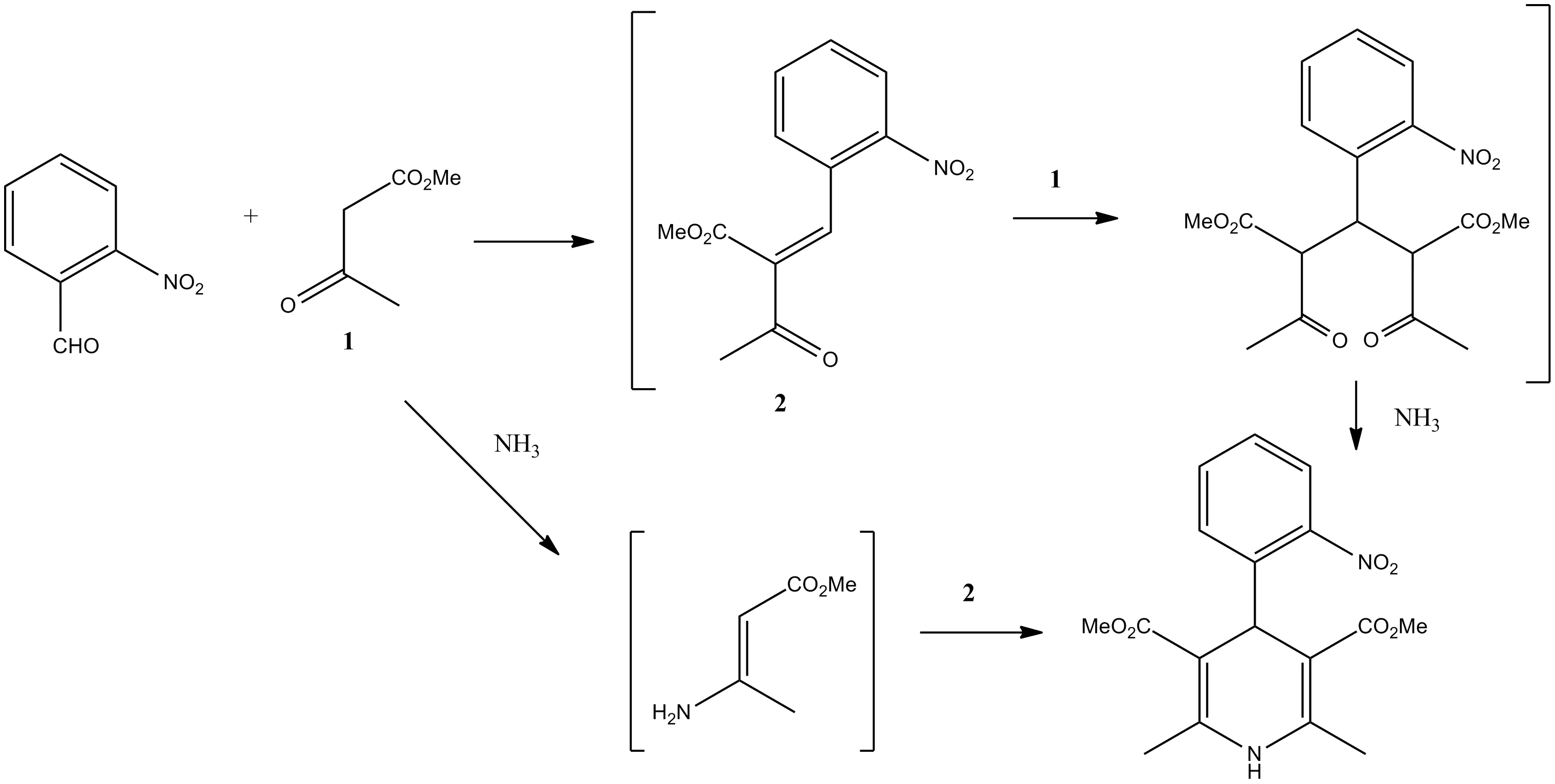 Diagram of a Chemical Reaction Mechanism