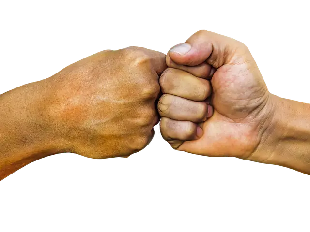 Fist Bump Gesture of Unity
