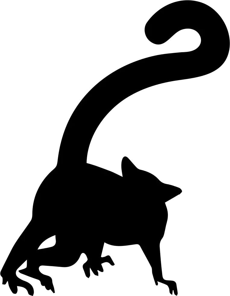 Silhouette of Animal with Long Tail
