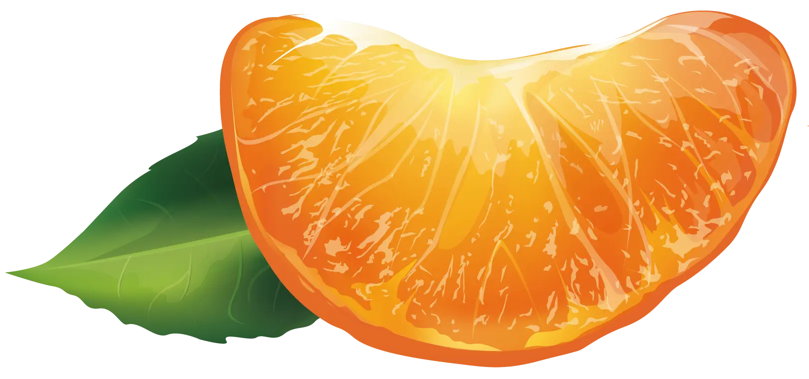 Juicy Orange Slice with Green Leaf