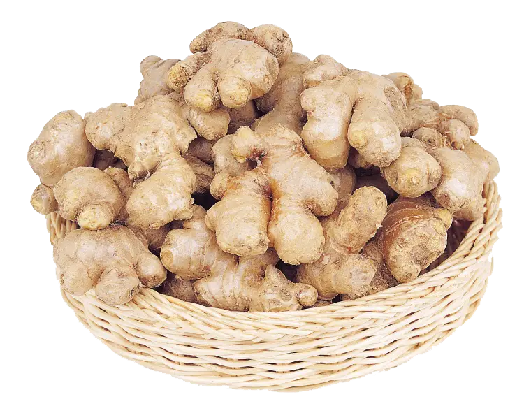 Basket of Fresh Ginger