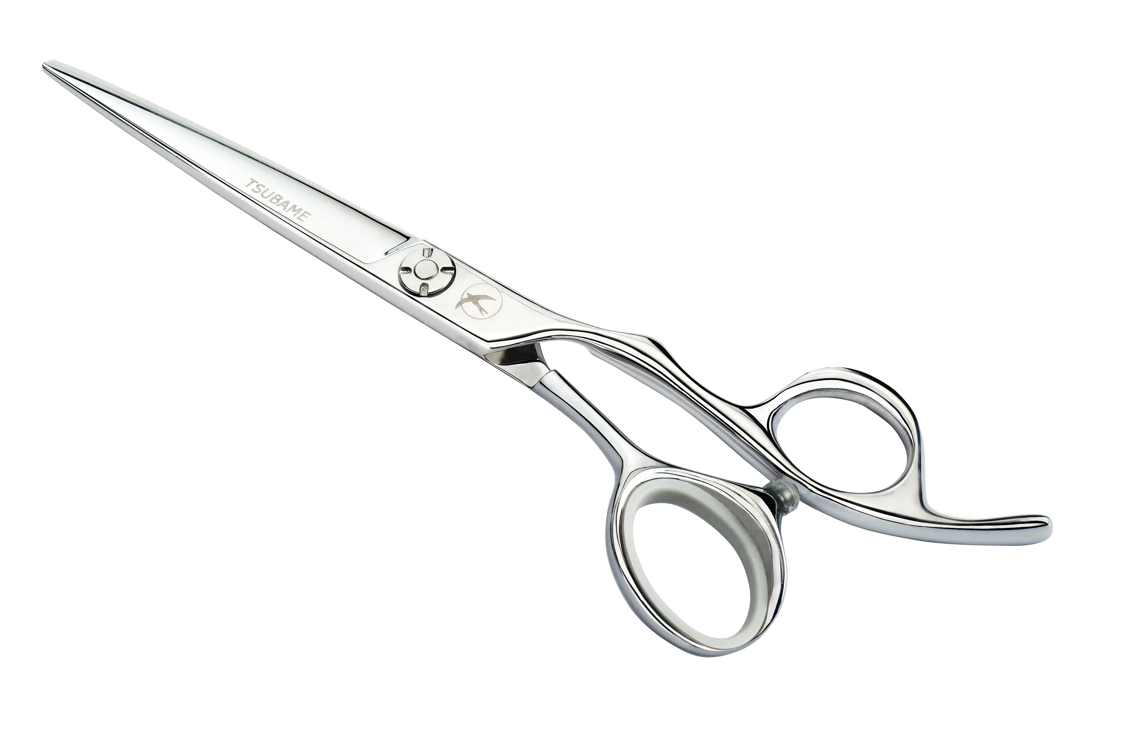 Professional Silver Scissors