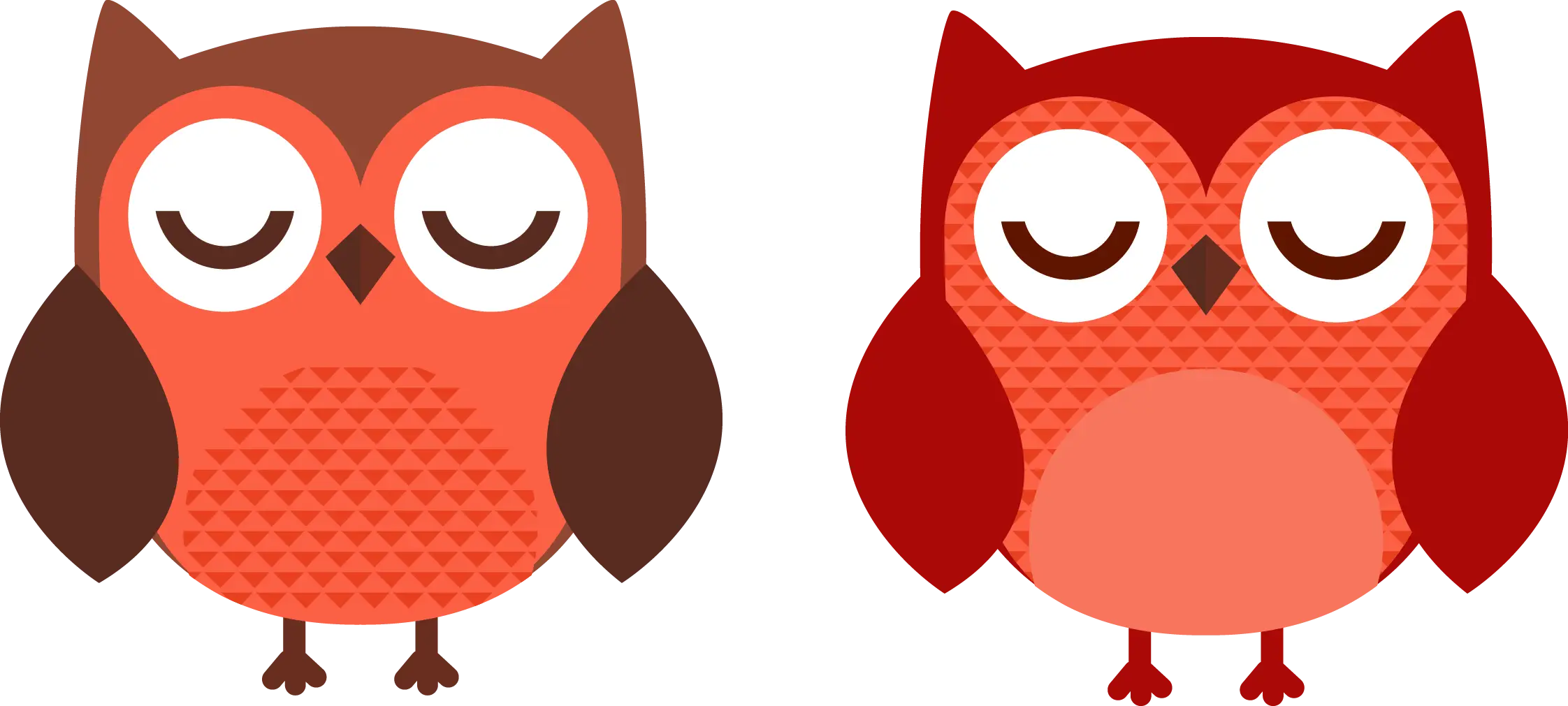 Cute Owls Animal Illustration