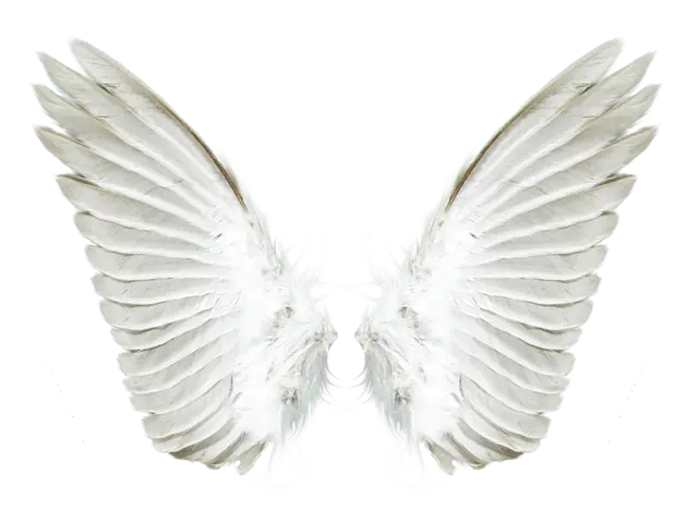 Simplistic White Angel Wings