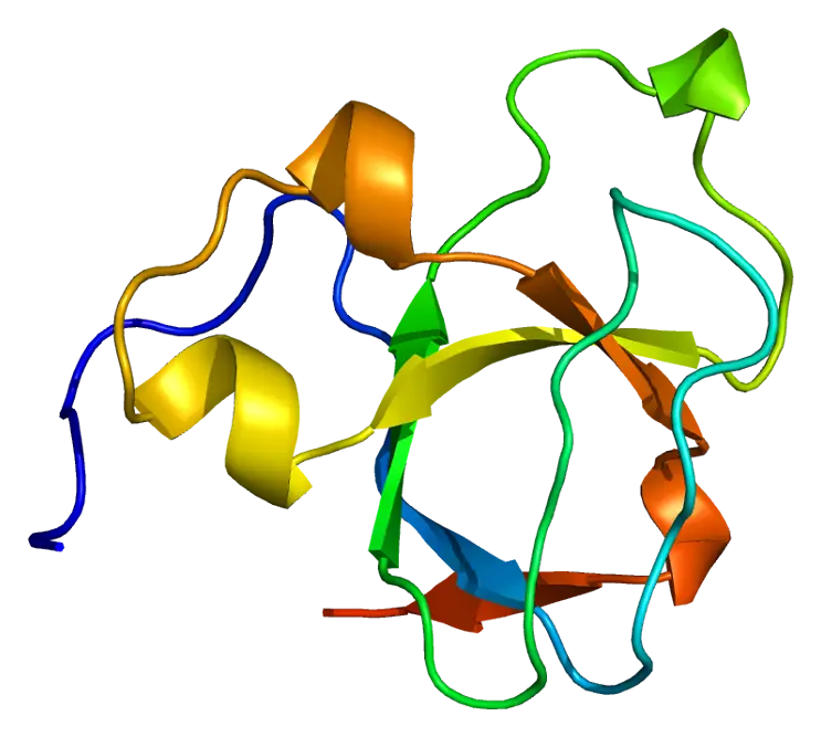Colorful Protein Structure Visualization for Biology