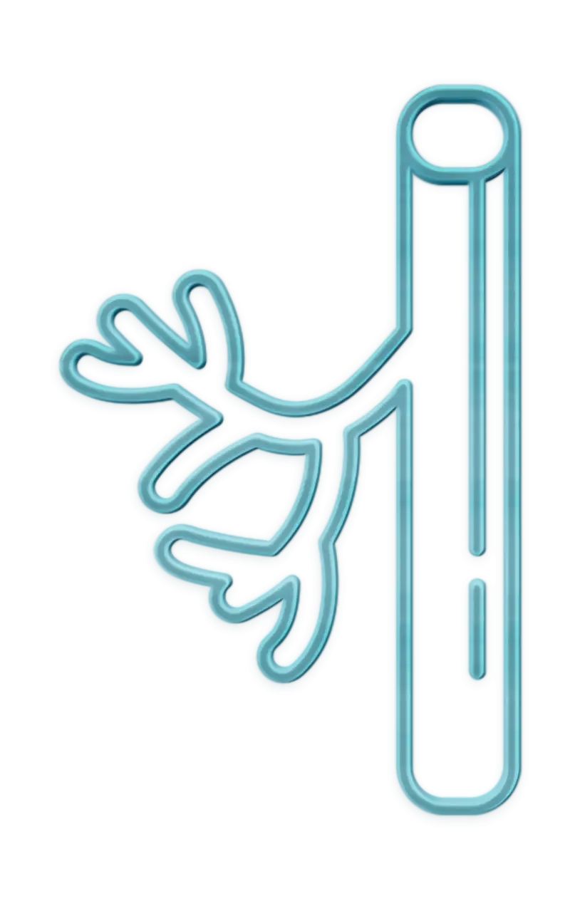 Neuron Structure in Biology