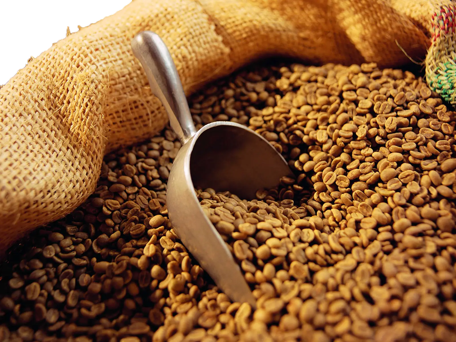 Coffee Beans with Scoop in Burlap Bag