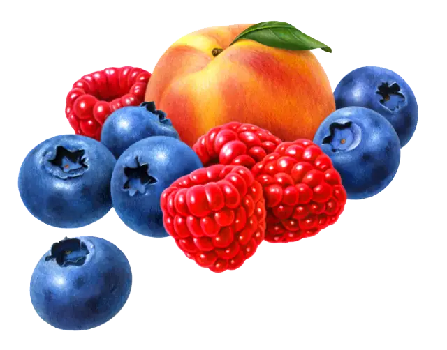 Fresh Mixed Berries and Peach