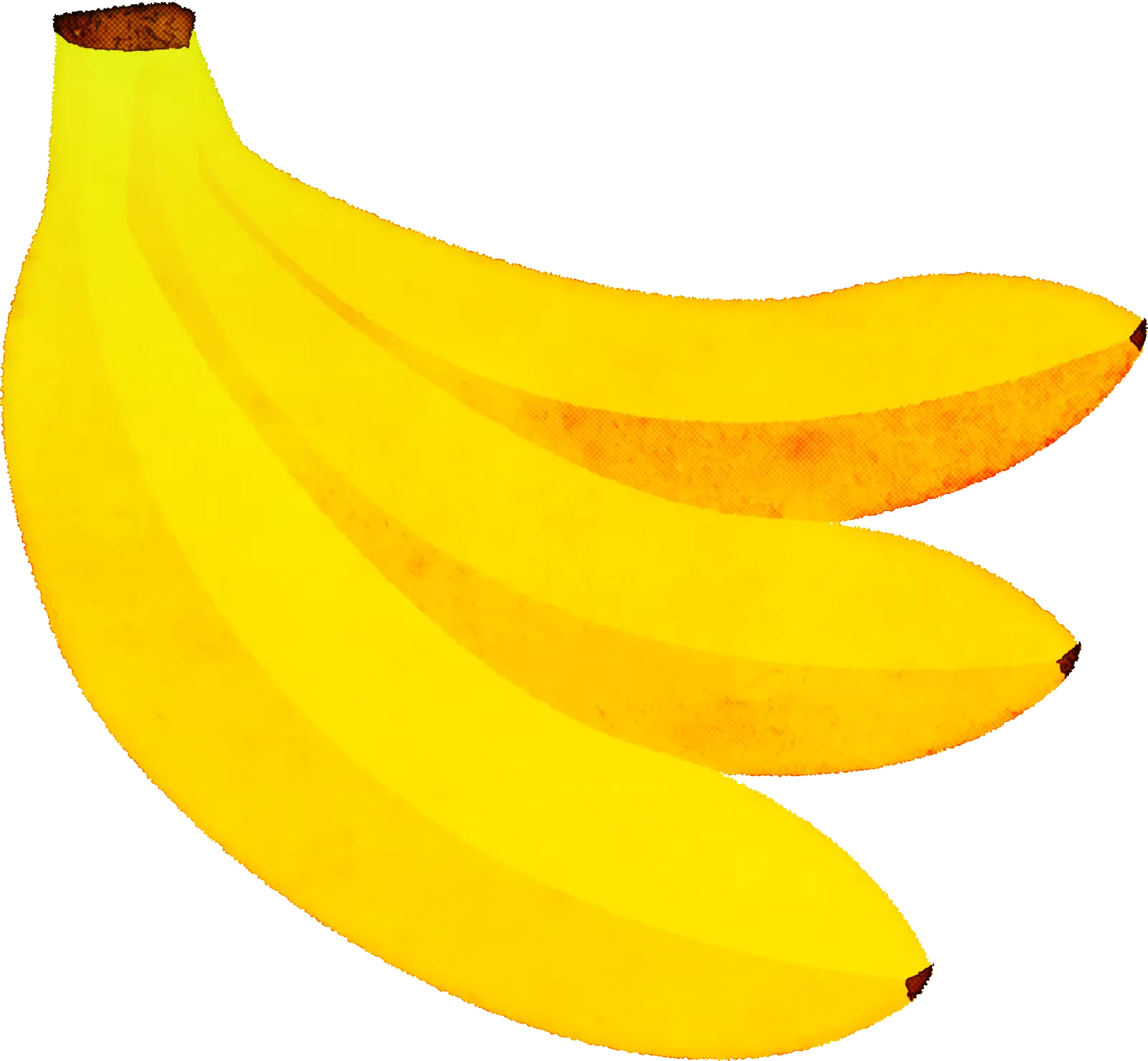 Bunch of Three Yellow Bananas Illustration