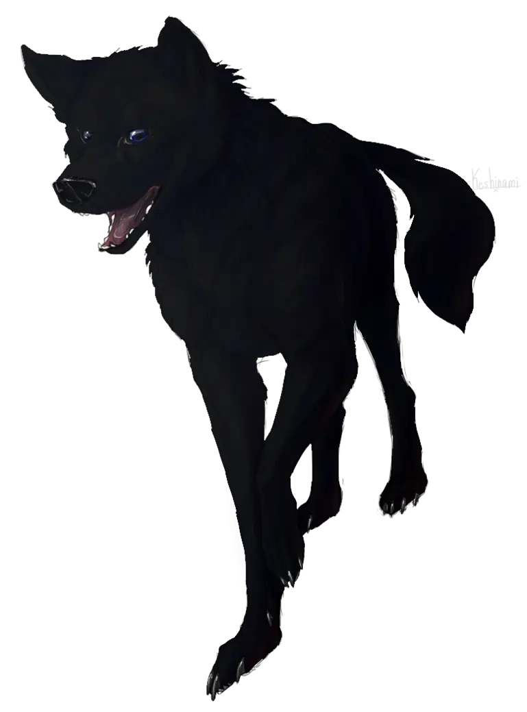 Dark Black Wolf Illustration