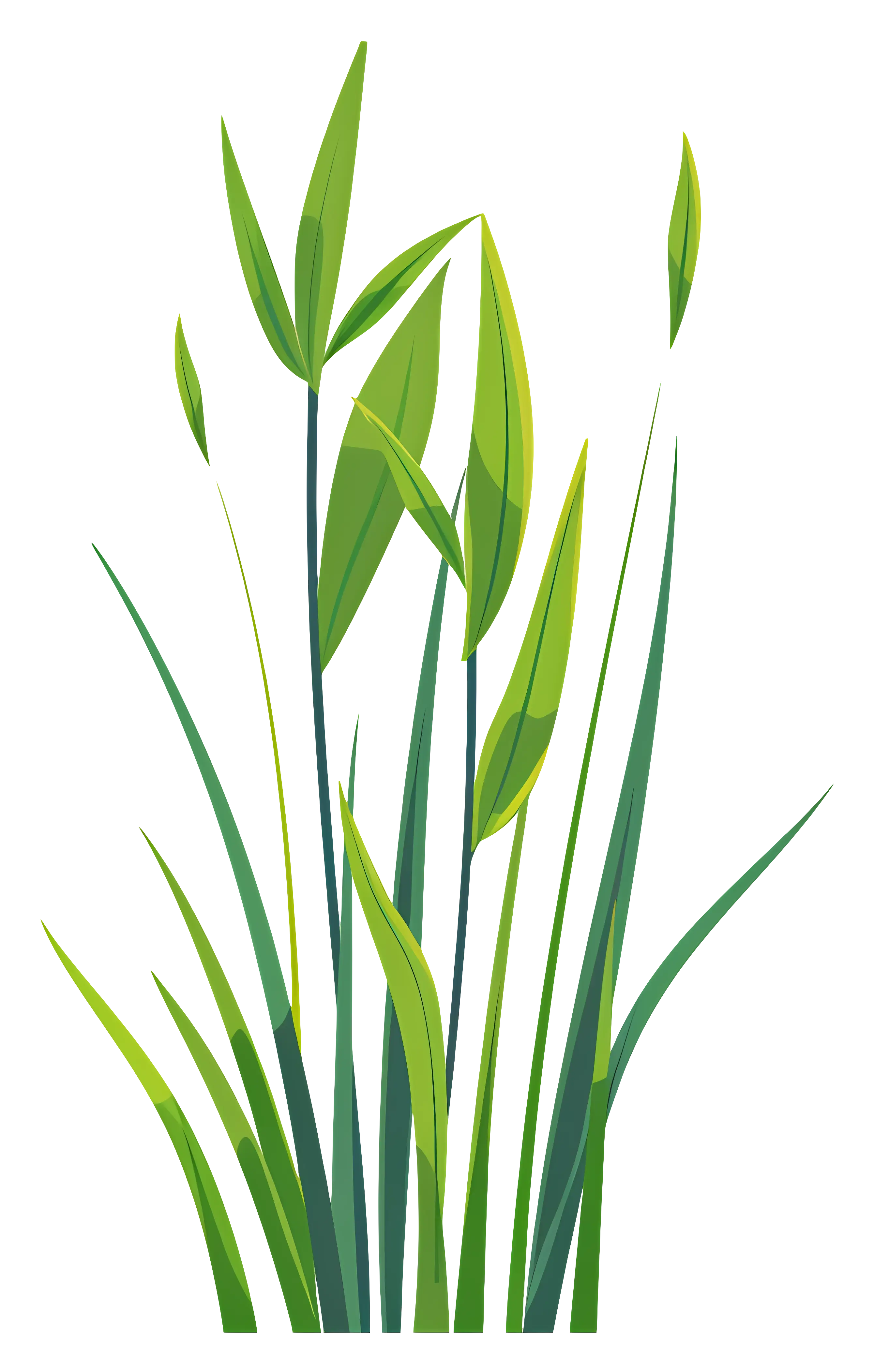 Green Grass Blades
