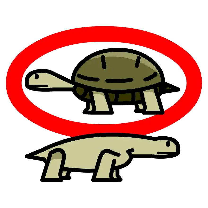 Cartoon Turtles