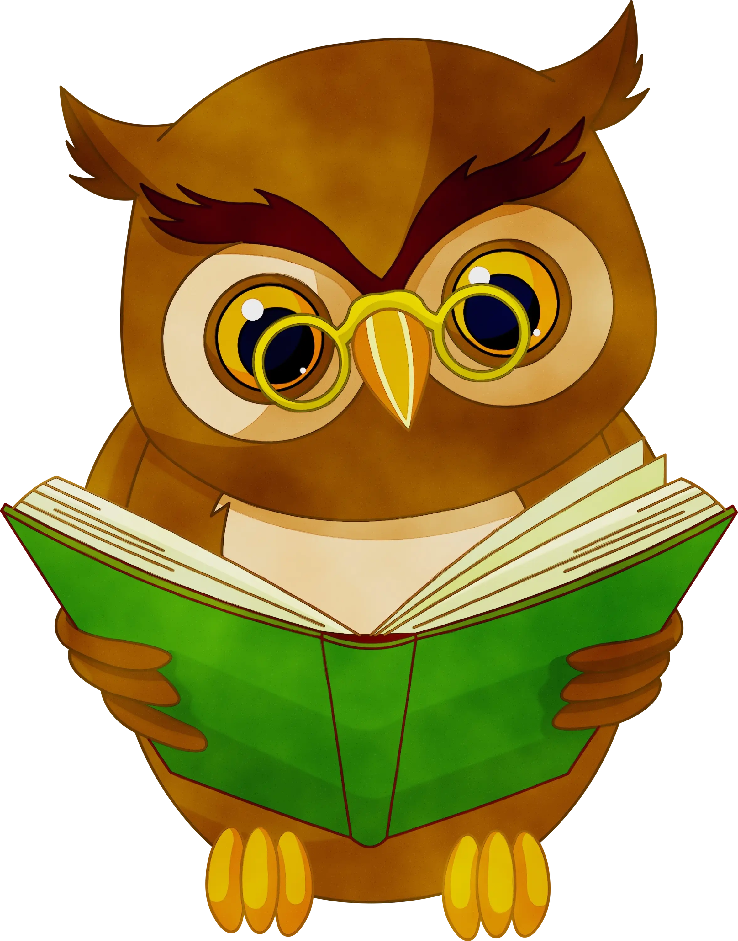 Wise Owl Reading a Book Cartoon