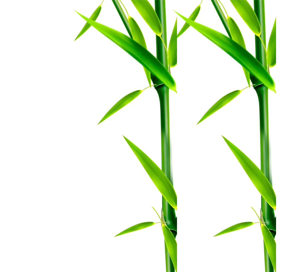 Elegant Bamboo Stalk With Leaves