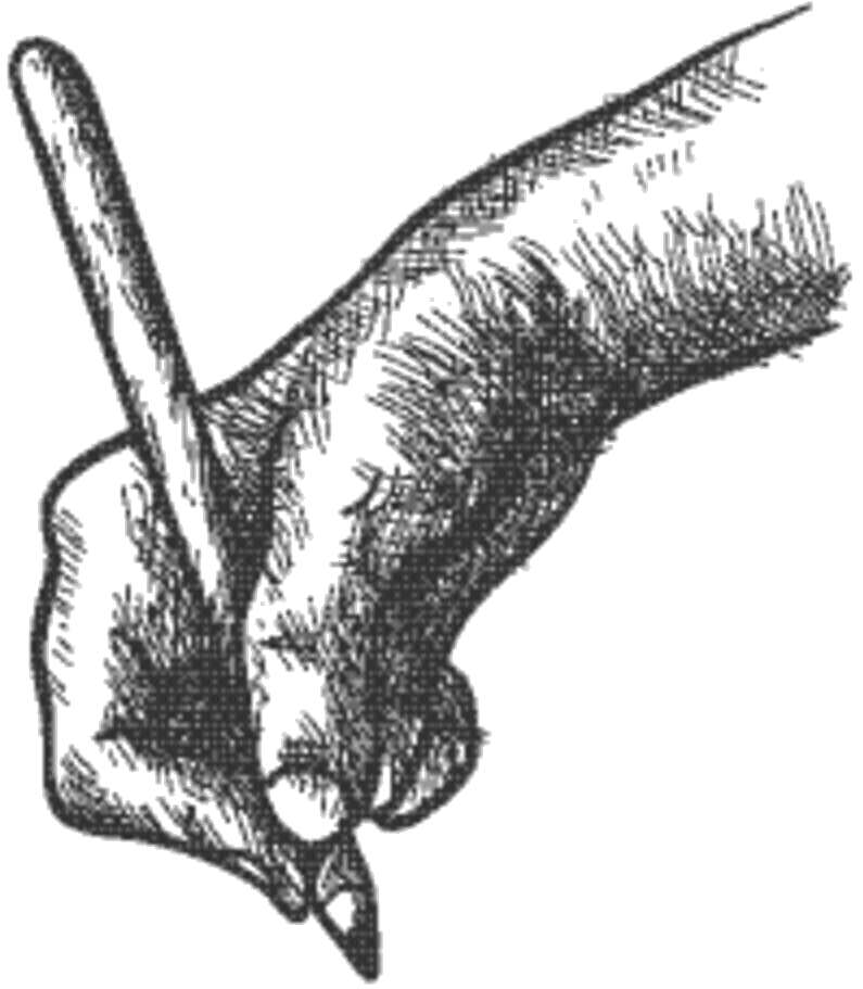 Hand with Pen Sketch Illustration