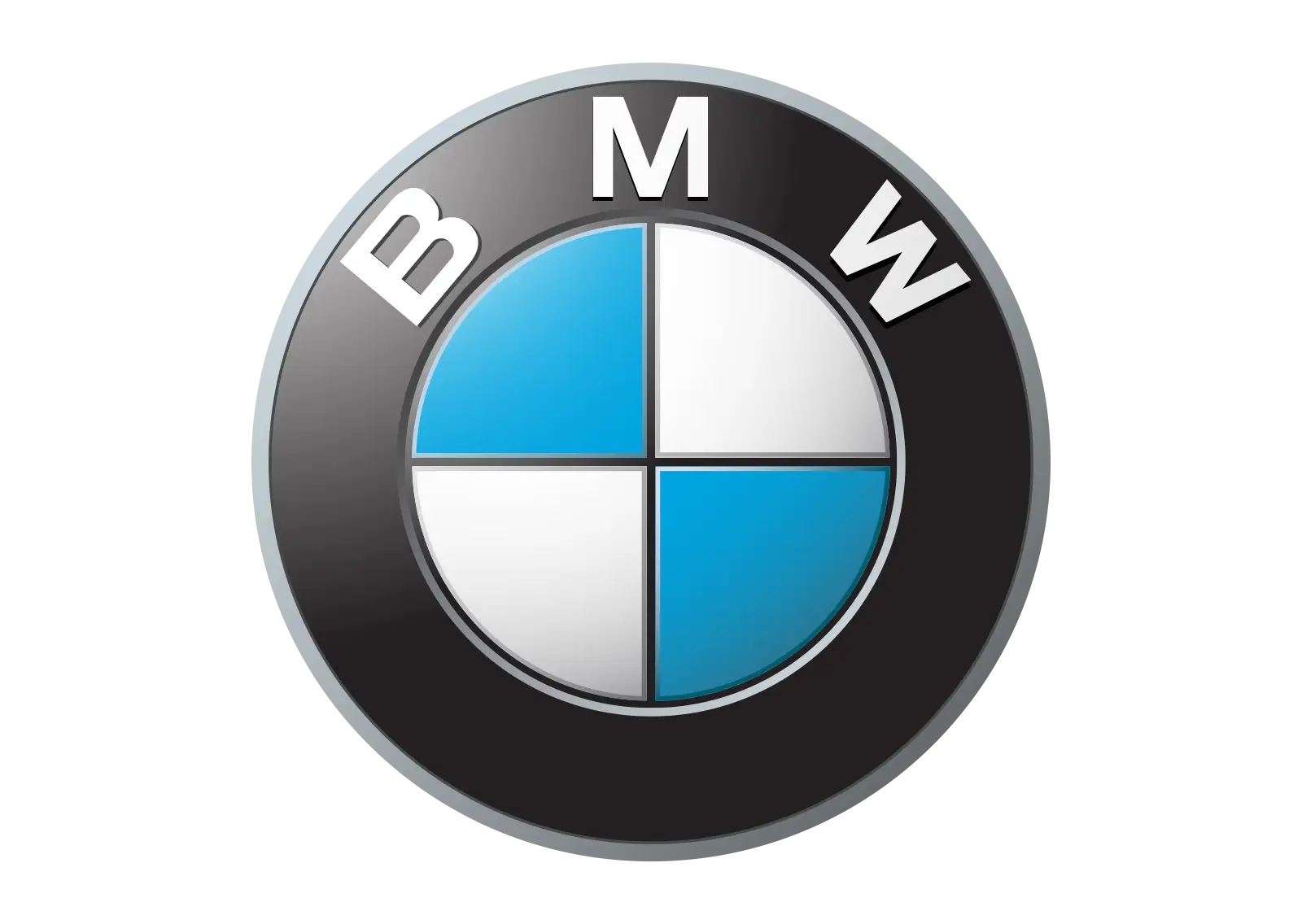 BMW Logo with Blue and White Design