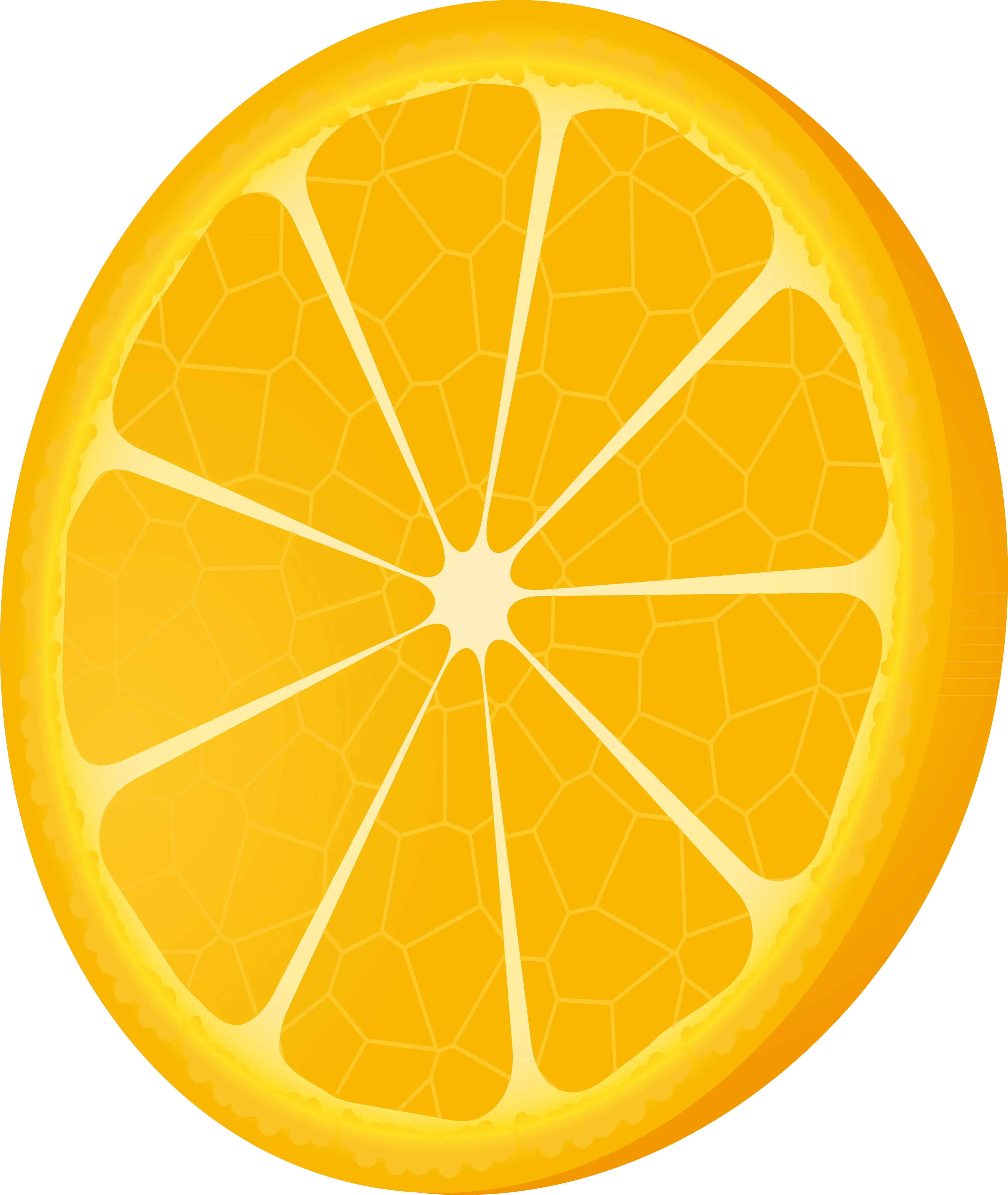 Orange Slice Illustration