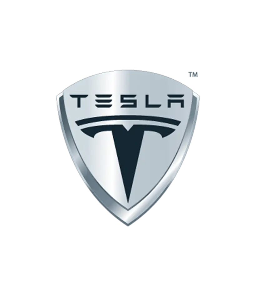 Tesla Logo Emblem Design